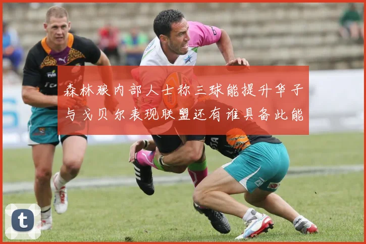 森林狼内部人士称三球能提升华子与戈贝尔表现联盟还有谁具备此能力