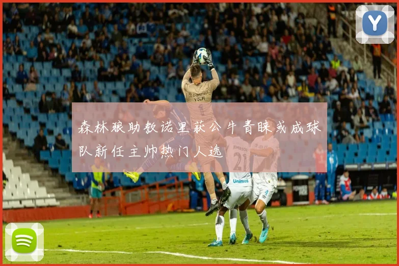 森林狼助教诺里获公牛青睐或成球队新任主帅热门人选