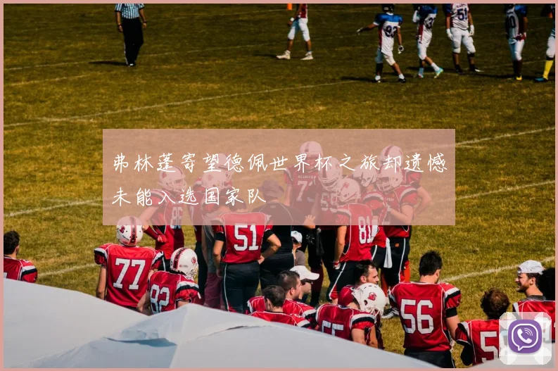弗林蓬寄望德佩世界杯之旅却遗憾未能入选国家队